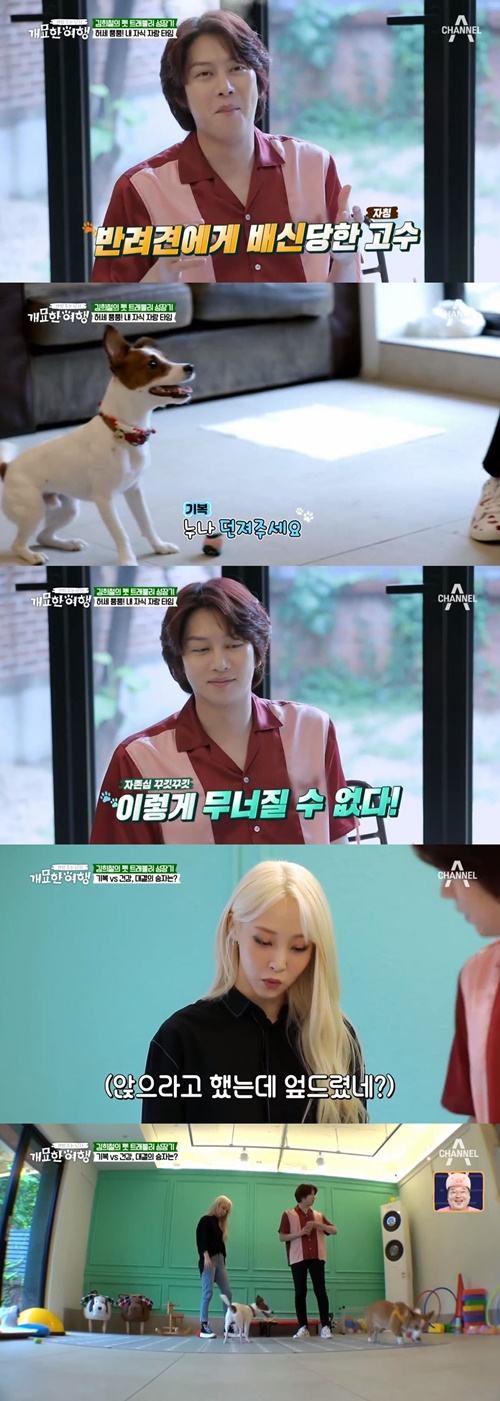 사진=채널A개밥주는남자개묘한여행캡처