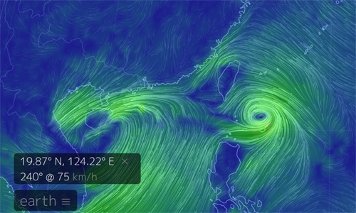 출처 구글어스눌스쿨