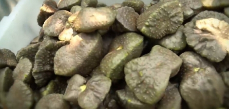 출처 방송 속 한 장면