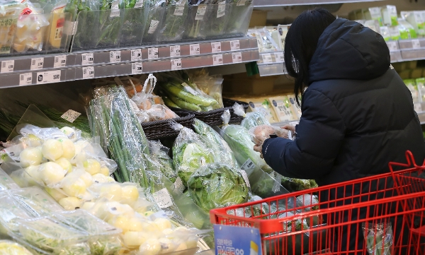 출처 NEWSIS자료화면