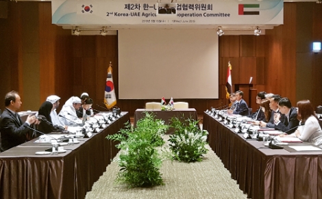 aT가 최근 UAE정부로부터 한국산 인삼 정식 수입허가를 획득했다고 밝혔다. 사진=aT