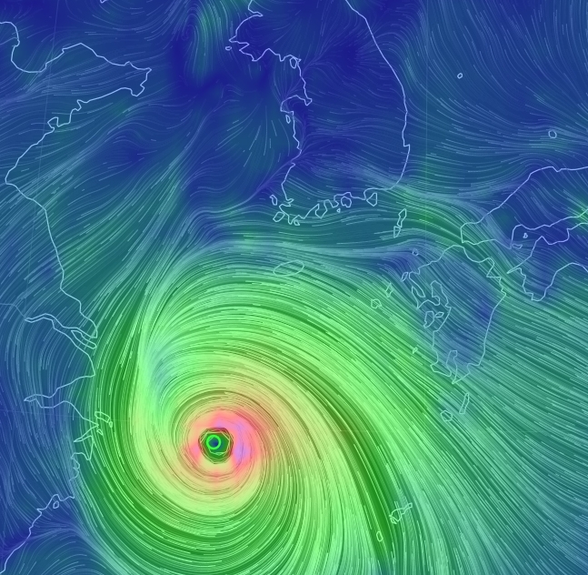 출처 website화면