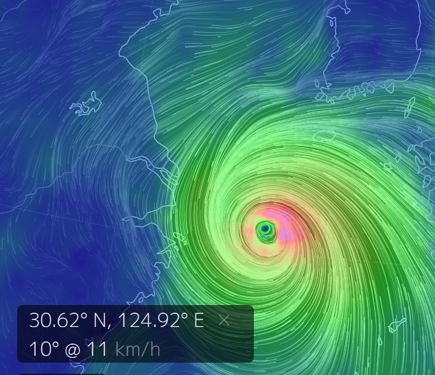 출처 구글어스눌스쿨
