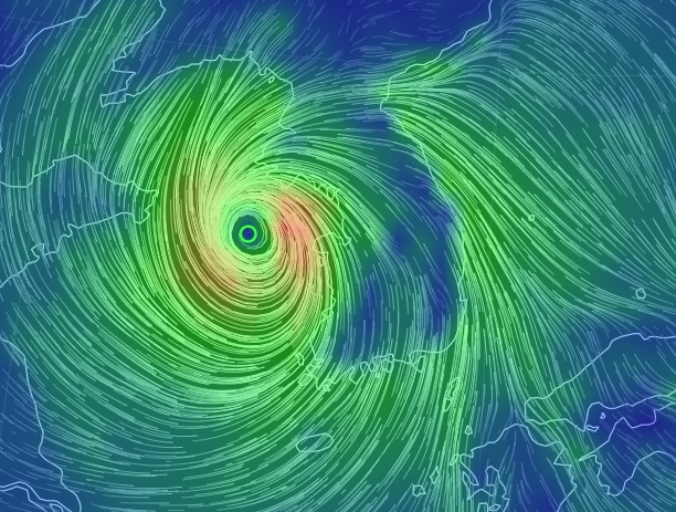 출처 구글어스눌스쿨