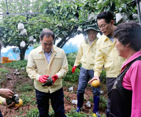 김인식 사장은 9일 태풍 링링으로 낙과피해를 입은 나주 배농가를 찾아 피해현황을 점검하고, 전 직원과 함께 영농피해 농가를 위해 조속한 피해복구를 돕겠다고 말했다. 사진=농어촌공사