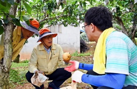 aT는 추석을 앞두고 태풍 피해를 입은 지역 농가에서 긴급 복구활동을 펼쳤다. 사진=aT