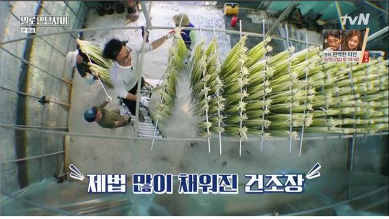 tvN예능일로만난사이방송캡처
