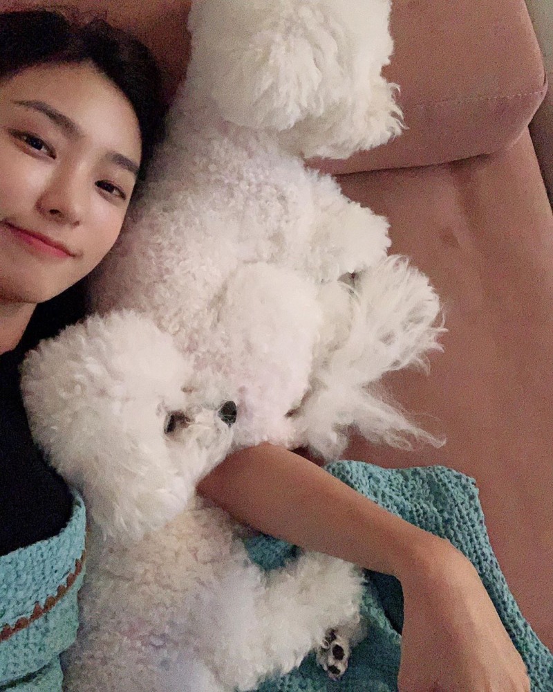 보라인스타