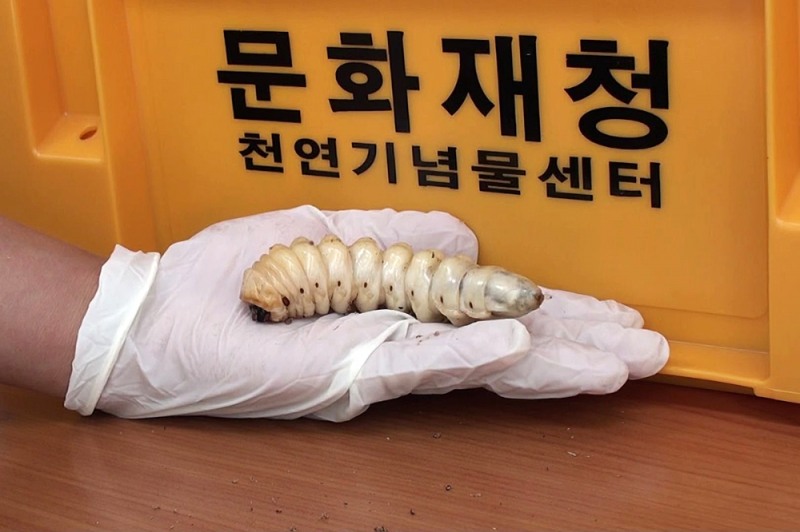 문화재청