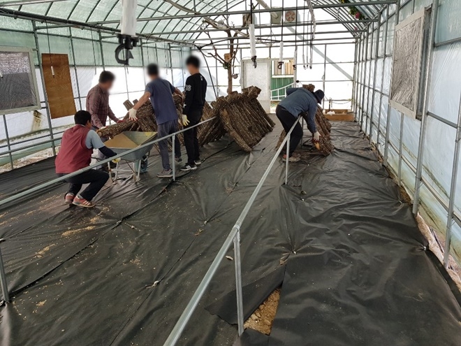 사회봉사대상자들이 버섯농장 설치를 돕고 있다.(사진제공=부산동부준법지원센터)