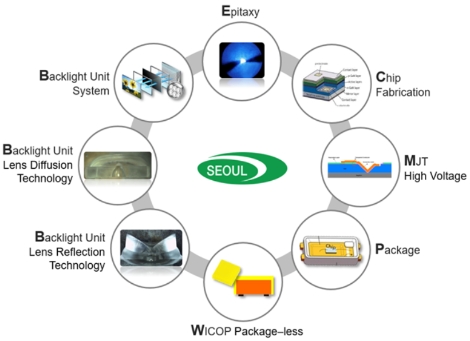 소송에 사용된 EPI부터 Solution까지 19개의 독자 특허 기술. 사진=서울반도체