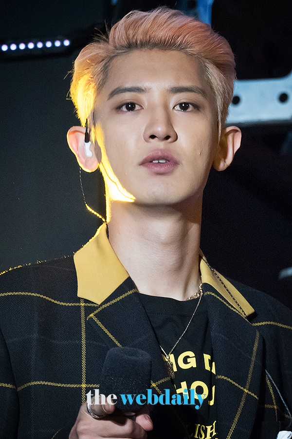 엑소 찬열, 엔씨 피버 페스티벌 2019 현장(사진:최수영기자)