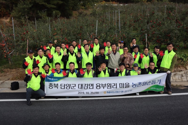 NH농협은행, 단양서 농촌일손돕기 구슬땀
