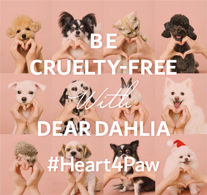 디어달리아 ‘하트포포 캠페인(HEART FOR PAW)’ 진행