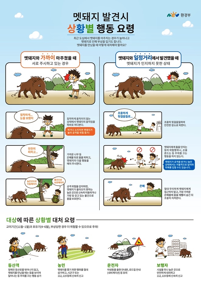 멧돼지발견시 상황별 행동요령.(제공=부산경찰청)