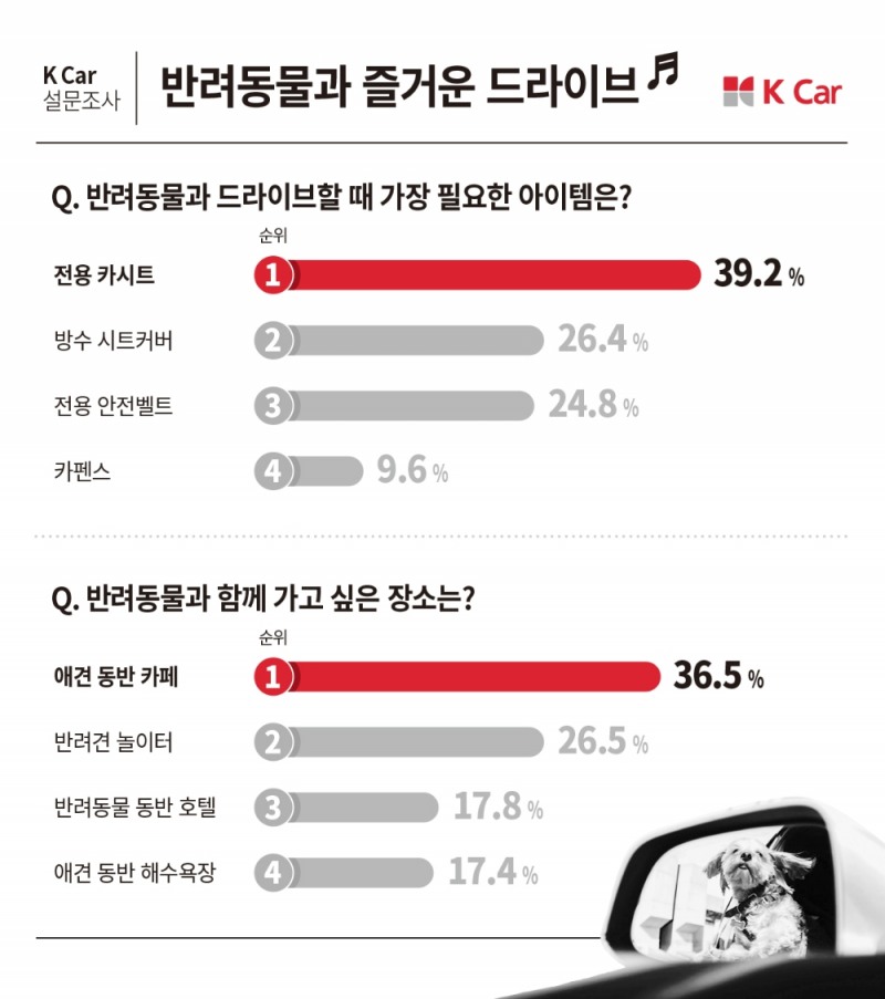 K Car, 반려동물과 드라이브 필수템은 ‘전용 카시트’