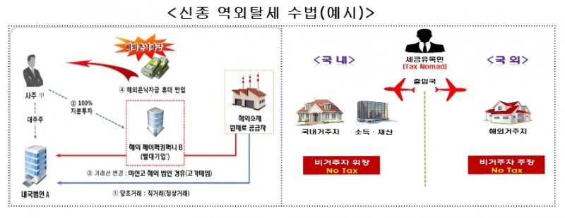 역외탈세와 공격적 조세회피 혐의자 171명 전국 동시 세무조사 실시
