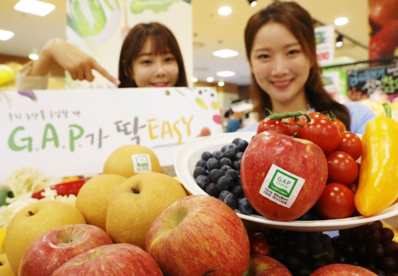 롯데마트 ‘GAP 인증 과일 모음전’ 진행