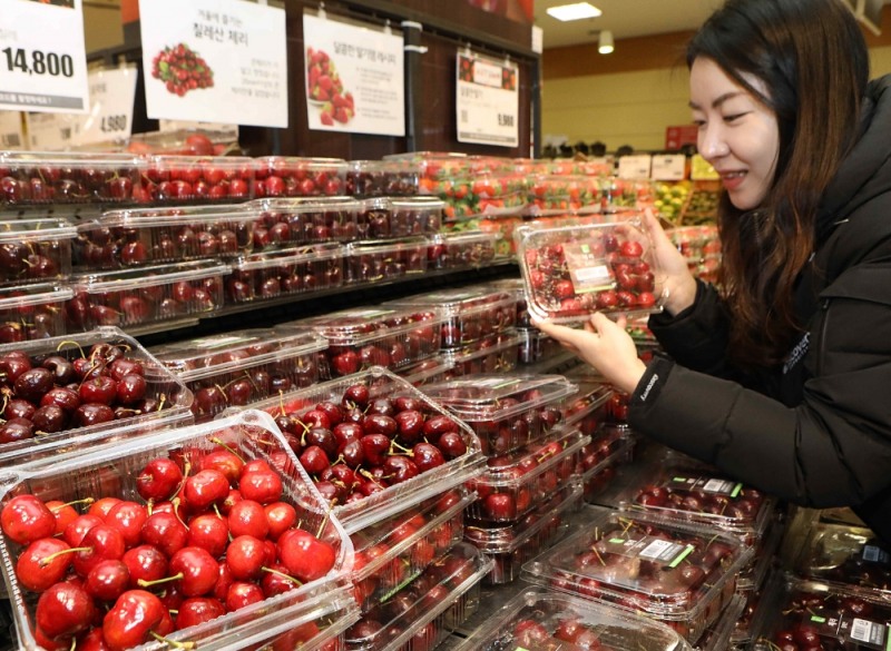 롯데마트, 칠레산 항공직송 체리 판매 시작