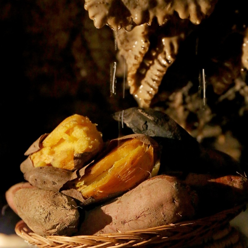 퍼밀, 동굴 숙성 ‘동굴 속 호박고구마’ 단독 출시