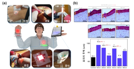 다양한 프리폼 OLED 구현 및 사람의 인공피부모델에서의 피부 재생 효과. 사진=한국연구재단