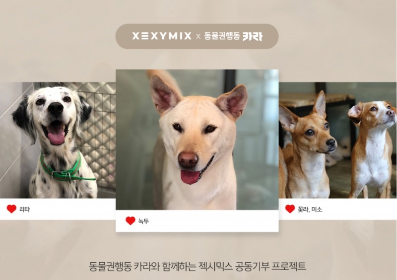 젝시믹스, 유기견 유기묘 돕는 ‘동물권행동 카라’에 매출의 1% 기부 선행 펼치다