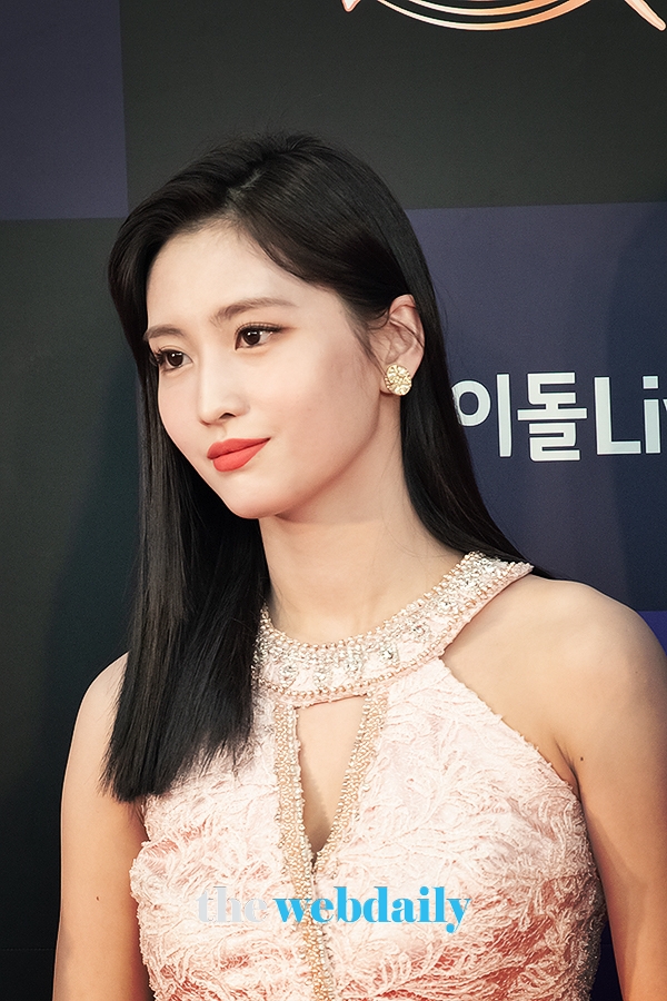 TWICE(트와이스) 모모, '34회 골든디스크어워즈' 레드카펫 행사 현장