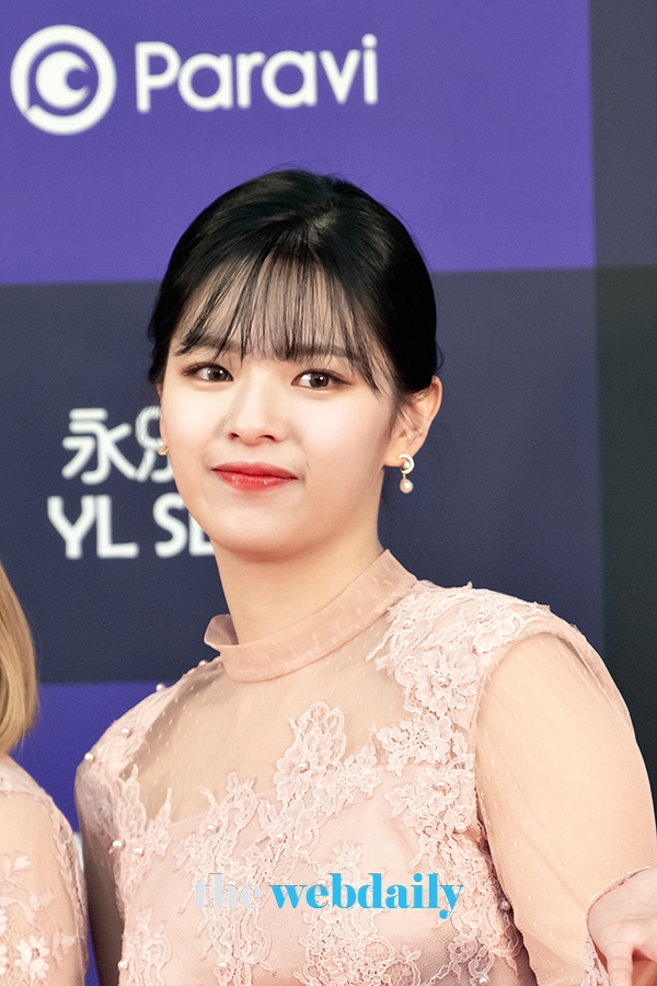 TWICE(트와이스) 정연, '34회 골든디스크어워즈' 레드카펫 행사 현장