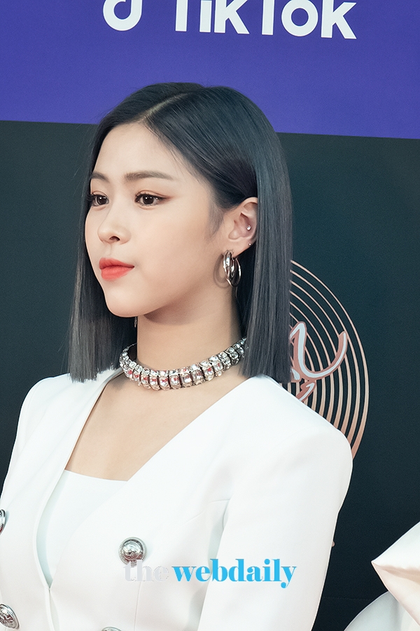 ITZY(있지) 류진, '34회 골든디스크어워즈' 레드카펫 행사 현장(사진:최수영기자)