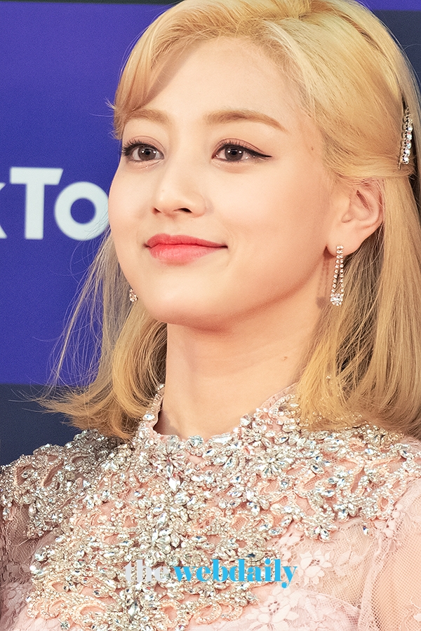 TWICE(트와이스) 지효, '34회 골든디스크어워즈' 레드카펫 행사 현장(사진:최수영기자)