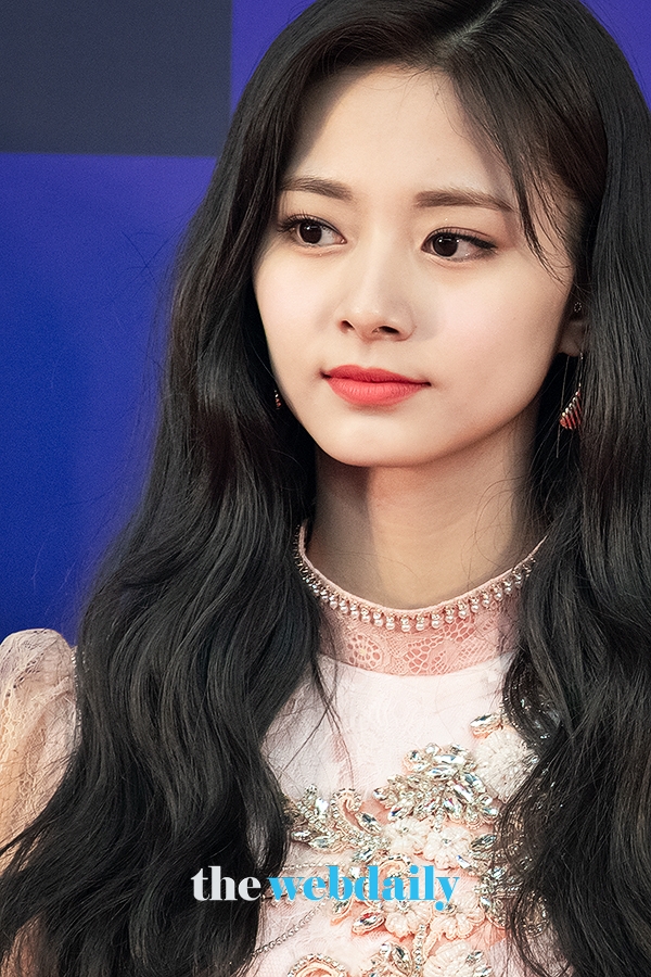 TWICE(트와이스) 쯔위, '34회 골든디스크어워즈' 레드카펫 행사 현장(사진:최수영기자)