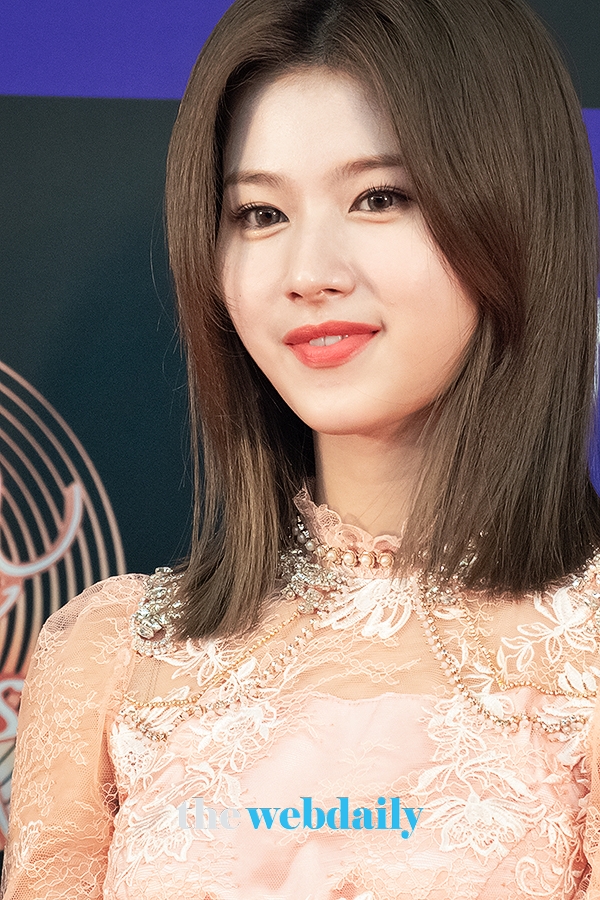TWICE(트와이스) 사나, '34회 골든디스크어워즈' 레드카펫 행사 현장(사진:최수영기자)