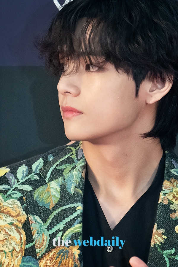 방탄소년단(BTS) 뷔, '34회 골든디스크어워즈' 레드카펫 행사 현장(사진:최수영기자)