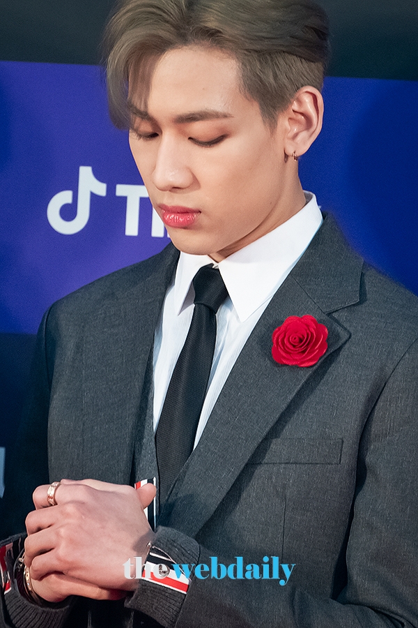 갓세븐(GOT7) 뱀뱀, '34회 골든디스크어워즈' 레드카펫 행사 현장(사진:최수영기자)
