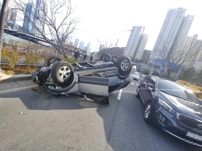 수영강변도로 가로수를 충격하고 전도된 차량.(사진제공=부산경찰청)