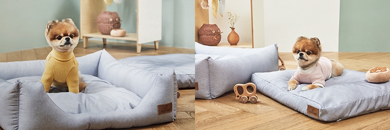 웰크론, 기능성 반려동물용품 브랜드 '세사퍼피' 런칭