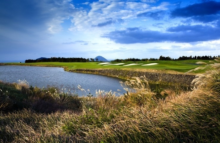 골프몬, 올겨울 제주 이상기온에 “감사합니다”