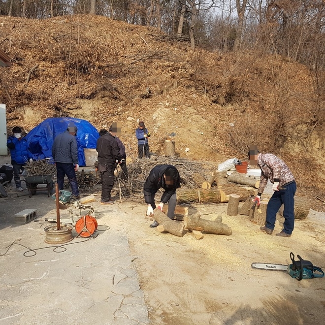 사회봉사대상자들이 화목보일러용 목재를 절단하고 있다.(사진제공=안동준법지원센터)