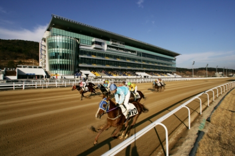 한국마사회, 경마제도 개선 성과 뚜렷...‘기수 최저 수입 358만원→582만원’