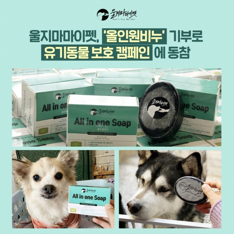 울지마마이펫, ‘올인원비누’ 기부로 유기동물 보호 캠페인에 동참