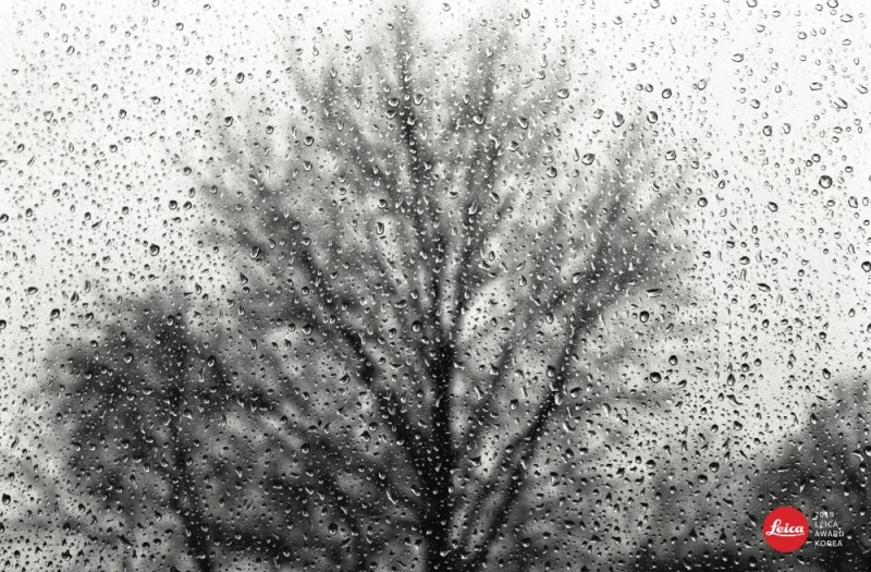 라이카 카메라, ‘라이카 어워드 코리아’의 수상자 포토그래퍼 정환영 사진전 진행