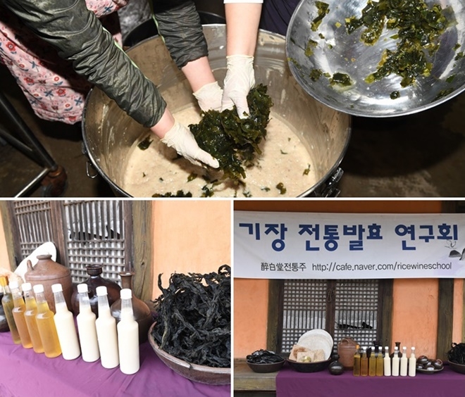 미역 등 첨가 2차 덧술 담그는 모습과 지난해 시험 제조한 미역·다시마 전통주.(사진제공=부산기장군)