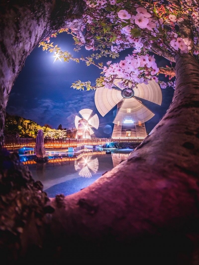 롯데호텔제주 풍차 라운지.(사진= 롯데호텔제주)