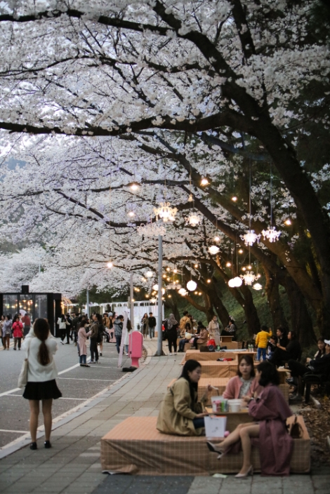 지난해 마사회 서울경마공원 벚꽃축제 전경. 사진=마사회
