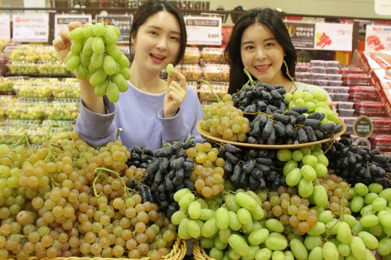롯데마트, 신품종 포도 3종 선보여