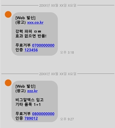 발송된 스팸문자(예시).(제공=부산본부세관)