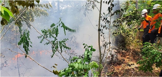 금정구 두구동 공덕산 5부능선에 발생한 산불을 진화하고 있다. (사진제공=부산시)