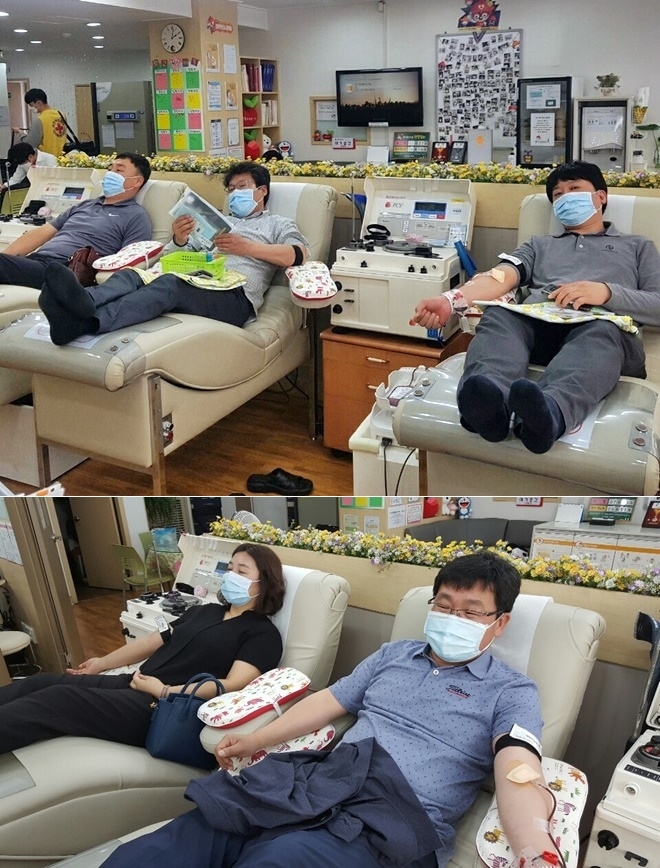 안동준법지원센터 직원들이 헌혈에 동참하고 있다.(사진제공=안동준법지원센터)