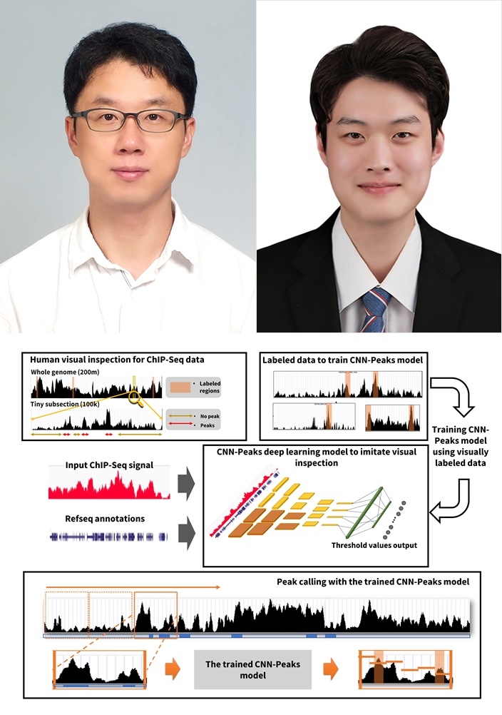 (사진왼쪽 송길태 교수, 오동빈 석사과정생), (연구관련개념도 이미지)딥러닝 모델이 인간 연구자의 암 유전체 데이터 분석 결과 데이터를 학습하고, 학습된 딥러닝 모델이 학습되지 않은 새로운 암 유전체 데이터에 대해 암 발생 기전이 될 수 있는 기능적 영역을 탐색하는 과정. (자료제공=부산대학교 송길태 교수 연구팀)