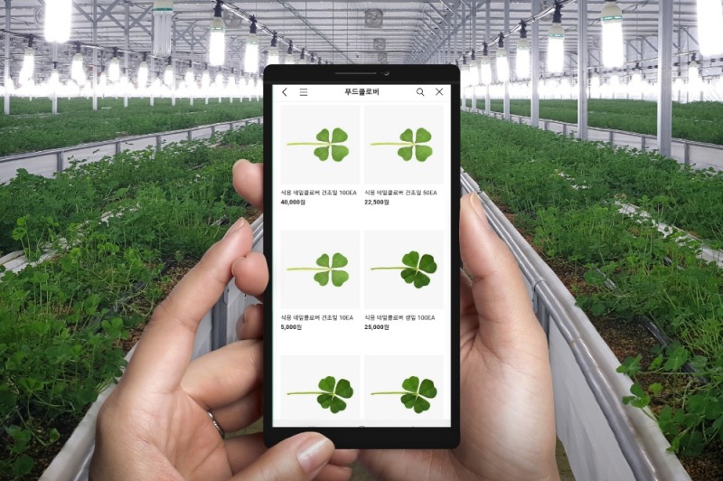 푸드클로버, 네잎클로버 카카오 쇼핑 판매 개시